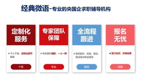 央国企携手大学生，专业信息咨询服务助力高质量就业